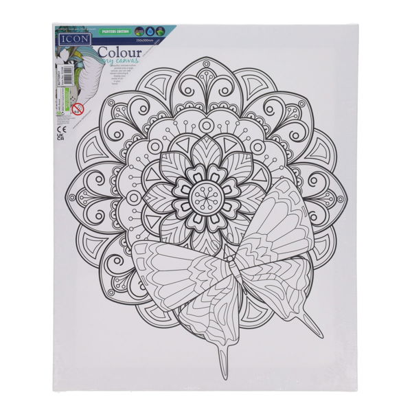 Icon 250x300mm Colour My Canvas - Butterfly