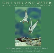 On Land and Water