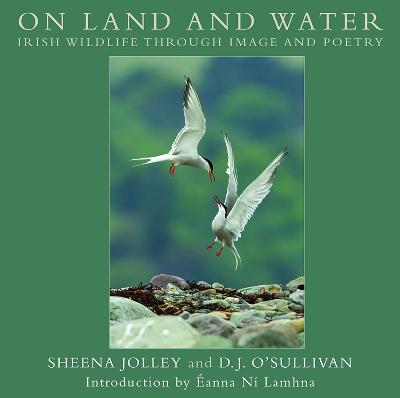 On Land and Water