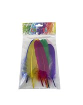 Mixed Duck Feathers 15-18cm - 10 piece