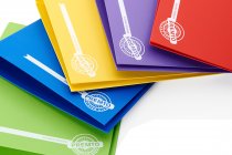 PREMTO A4 PP RING BINDER 5 ASST.